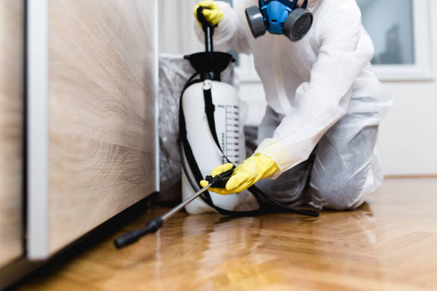 Reliable Bullard, TX Pest Control Solutions