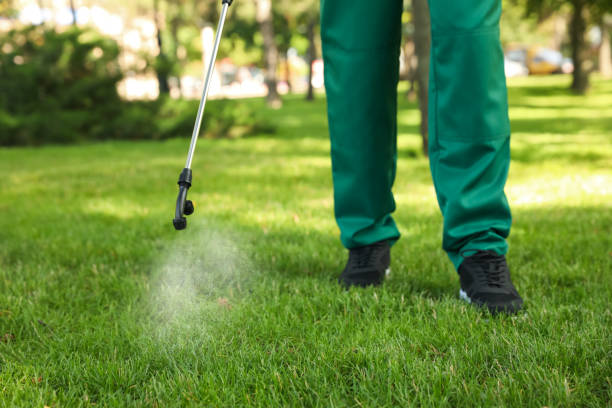 Best Rat Extermination Near Me  in Bullard, TX