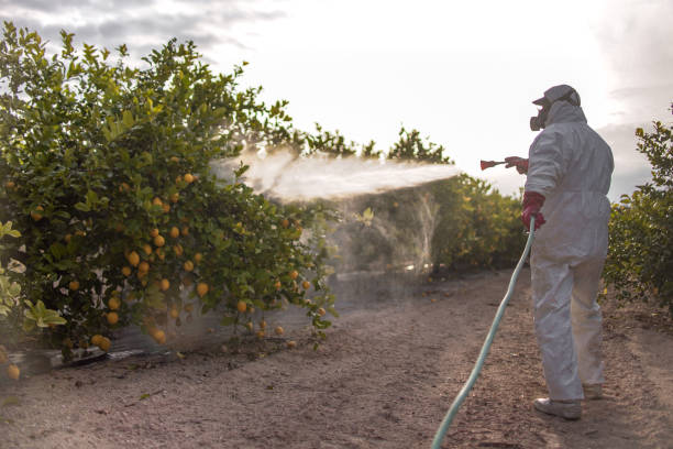 Best Pest Inspection Near Me  in Bullard, TX