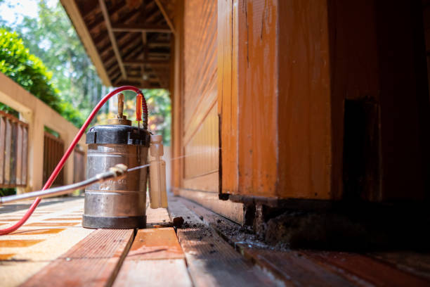 Best Pest Removal Services  in Bullard, TX